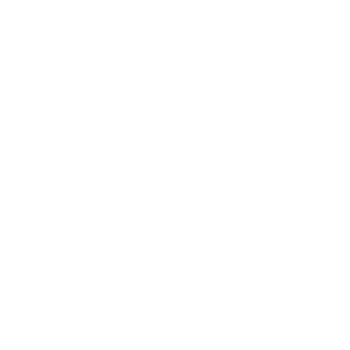 Paquete Nupcial Intermedio